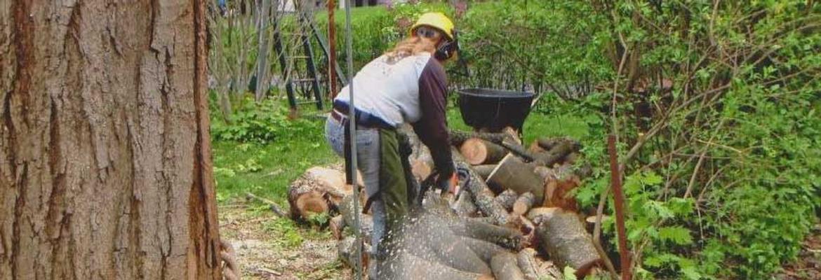 Cutting Wood